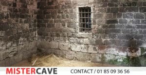 renovation des murs de votre cave