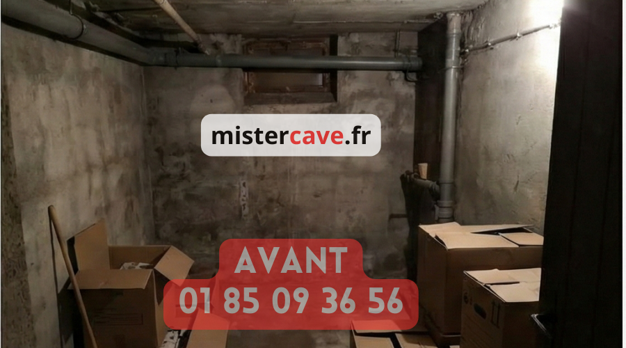 Cave Paris 11e avant rénovation : murs humides avec salpêtre