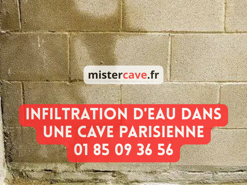 Infiltration eau cave parisienne : traces d'humidité et coulures sur un mur enterré en pierre avec efflorescences blanches de salpêtre