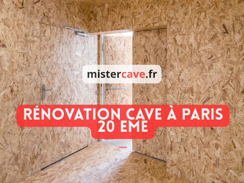 Rénovation cave Paris 20e : technicien MisterCave réalisant un traitement anti-humidité dans la cave d'un immeuble ancien de Belleville, avec équipement professionnel d'injection de résine contre les remontées capillaires typiques des constructions ouvrières du XIXe siècle